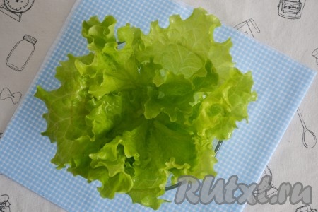 Вымыть листья салата, обсушить и выстелить ими блюдо для подачи.
