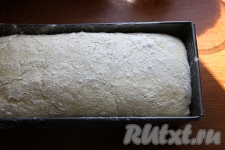 Выкладываем тесто в форму для хлеба (можно форму смазать маслом или застелить бумагой для выпечки). Оставляем на 30 минут для подъема.

