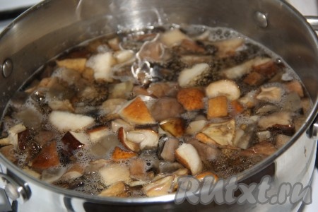 Нарезанные грибы выложить в кастрюлю, залить водой и варить в течение 30 минут с момента закипания на слабом огне.
