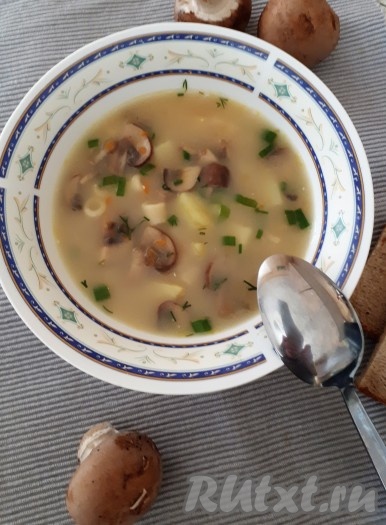 Вкусный и очень ароматный суп с шампиньонами и макаронами готов.
