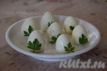 Охладить сваренные перепелиные яйца и очистить. Отрезать у яиц тупые кончики для того, чтобы яйца устойчиво стояли на тарелке острыми кончиками вверх. Листочки петрушки смочить в воде и прилепить к яйцам снизу.