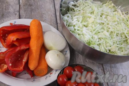Подготовить продукты для приготовления салата "Краски осени" на зиму. Вес овощей в ингредиентах приводится в очищенном виде. Нарезать капусту на тонкие полоски, выложить в глубокую миску. Из перца удалить плодоножку с семенами, промыть. Лук и морковь почистить. Помидоры вымыть, я использовала помидоры черри, но можно взять обычные - это не принципиально.