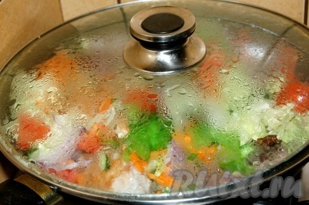 После закипания воды уменьшить огонь до минимума и тушить рагу из овощей и курицы под крышкой 30 минут. За 5 минут до готовности добавить в рагу зубчик чеснока, пропущенный через пресс.