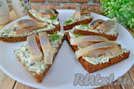Каждый бутерброд  с селёдкой и творожным сыром украсить зеленью укропа. Выложить на плоское блюдо и можно подавать к столу.