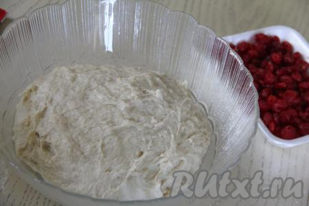 Перемешивать тесто сначала ложкой, а затем вымесить его руками в течение 10 минут. Дрожжевое тесто для кулича сначала будет комковатым, расслаивающимся. Затем станет пластичным, мягким, не липнущим к рукам. Миску смазать растительным маслом, выложить в неё тесто. Оставить тесто в тепле на 1,5 часа (до увеличения в объёме раза в 2-3), накрыв плёнкой или прикрыв полотенцем.