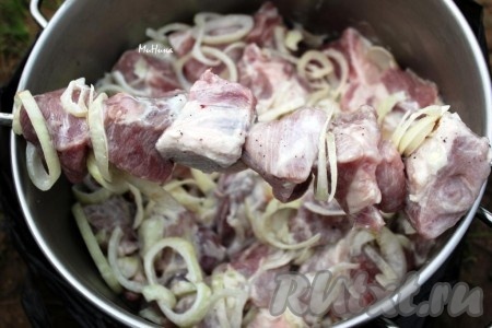 Затем нанизать куски мяса на шампуры, можно вместе с кольцами лука. Посолить по вкусу.