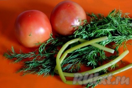 Ингредиенты для соуса из помидоров с кинзой и черемшой.