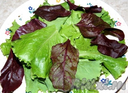 Листовой салат помыть, обсушить и выложить на тарелку.