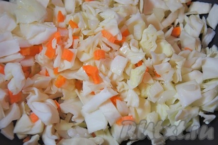 Капусту нарезать средним кубиком, добавить нарезанную мелким кубиком морковь и лук.