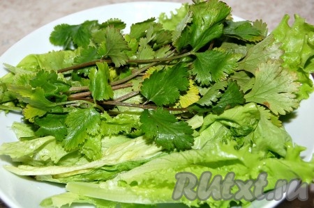 Помыть и обсушить листовой салат и свежую кинзу.