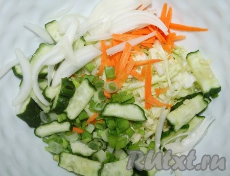Поместить капусту в миску, перетереть ее с солью, добавить тертую морковь, свежий огурец, лук репчатый и зеленый лук.
