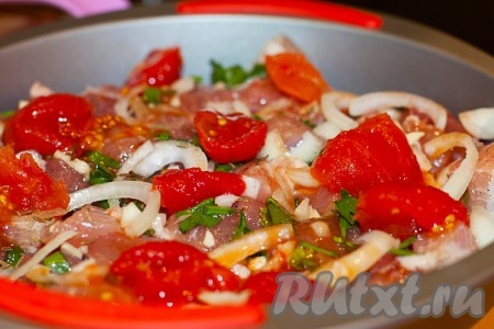 Консервированные томаты освободите от шкурки и разрежьте пополам. Выложите поверх мяса с луком и полейте несколькими ложками сока.