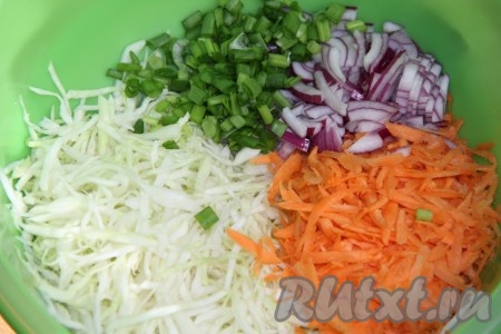 В глубокой миске соединить капусту, морковку и лук.