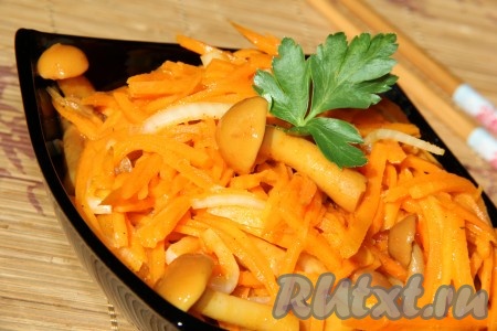 При подаче на стол аппетитный и вкусный салат с корейской морковью и опятами украсить веточкой свежей зелени.