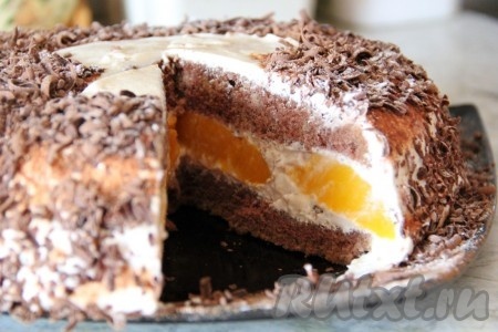Абрикосовый торт с шоколадным кремом