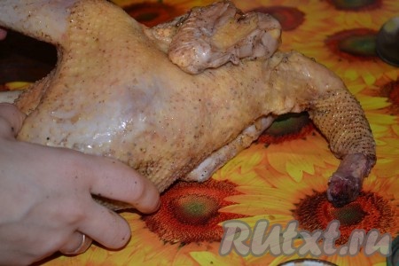 Хорошо вымытую курицу обсушиваем бумажным полотенцем. Натираем курочку внутри и снаружи смесью перца, соли, измельченного чеснока, лаврового листа и специй. Подготовленную курочку оставляем часа на 2, чтобы мясо промариновалось.