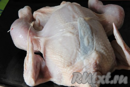 Курицу перевернуть грудиной вниз и слегка придавить в области груди, чтобы поломался хрящ. С помощью лопатки аккуратно отделить кожу от самой курицы. Посолить и поперчить курицу снаружи и внутри.