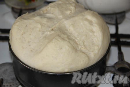 Из подошедшего дрожжевого теста сформировать округлую буханку хлеба и уложить в форму для запекания, предварительно смазанную растительным маслом. Оставить тесто в форме для подъёма на 30-40 минут.