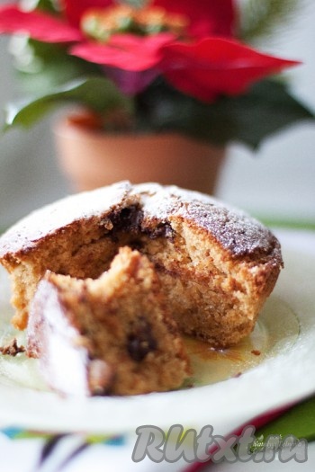 Выньте готовый кекс с дольками шоколада из формы и дайте слегка остыть. Перед подачей посыпьте сахарной пудрой.