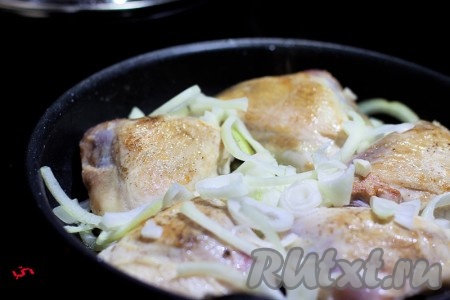 Обжарьте с двух сторон до золотистого цвета в течение 30 минут (до готовности курицы). Нарежьте полукольцами лук и добавьте к курице.