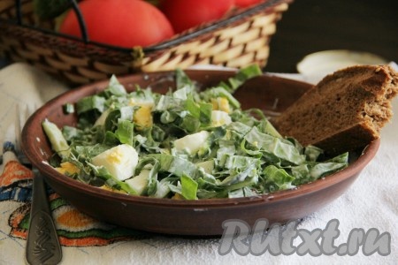 Перемешать и подать к столу вкусный, сочный, полезный салат из щавеля с огурцами.
