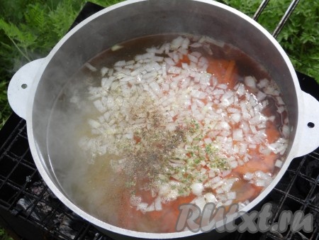 Мы готовили уху по простому. В мангале развести костер, поставить решетку. Аналогично можно приготовить этот суп дома, поставив кастрюлю с водой на плиту. В казан с водой добавить картошку, поварить минут 10, добавить нарезанные морковь и лук, соль и специи, поварить еще минут 10. 
