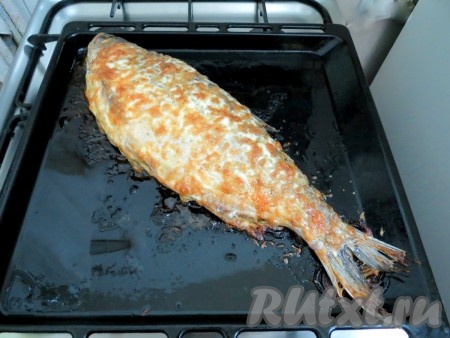 Отправляем фаршированного толстолобика в заранее разогретую духовку при температуре 170 градусов на 1 час. Во время запекания ничем рыбу не накрывайте.

