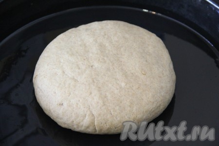 Из теста сформировать круглый ржано-пшеничный хлеб и выложить его в форму для выпечки, смазанную растительным маслом, прикрыть полотенцем и оставить на 1 час в тепле. 