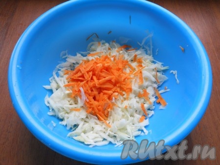 Слегка присолить и помять руками тонко нашинкованную капусту, затем добавить свежую морковь, натертую на крупной терке.