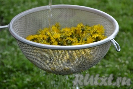 Хорошо промыть цветы под проточной водой, смывая пыль. 
