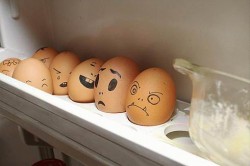 Как варить яйца? Сколько варить яйца?