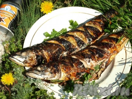 Рыба на мангале на решетке рецепт с фото какая лучше