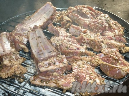 Разогреть угли. Мясо посолить, убрать лук, чтобы он не горел при запекании и положить кусочки баранины на решетку.

