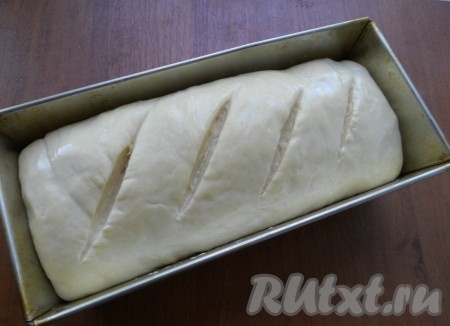 Поместить тесто в немного смазанную форму для хлеба или кекса швом вниз. Накрыть форму чистым полотенцем и оставить в теплом месте на 30-40 минут. Затем смазать верх теста сывороткой и сделать несколько надрезов.