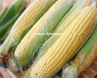 Как заморозить кукурузу в домашних условиях