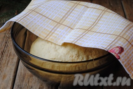 Тесто, накрыв полотенцем, оставить в тёплом месте (без сквозняков) на 1 час. За это время тесто увеличится в объёме, примерно, вдвое.