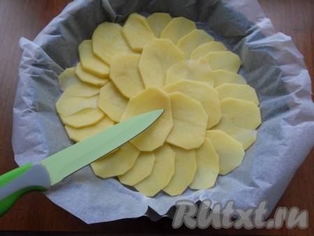 Картофель очистить и нарезать тонкими кружочками (чем тоньше, тем нежнее будет блюдо). Небольшую форму для запекания (диаметром 19-20 см) застелить пергаментом. Выложить слой картофеля внахлест.