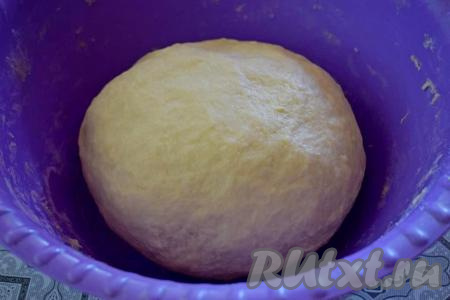 В общей сложности вымешивать дрожжевое тесто для ватрушек руками нужно минут 7. В процессе замеса, чтобы тесто меньше липло к рукам, можно слегка смазать руки растительным маслом. Добавляя муку и вмешивая её, учитывайте, что тесто должно получиться лёгким, но плотным по консистенции, к рукам оно липнуть не должно. Муки для замешивания теста может потребоваться немного больше или меньше, чем указано в ингредиентах, главное - ориентироваться на консистенцию замешиваемого теста. Скатать тесто в шар, смазать растительным маслом и убрать в тёплое место часа на 1,5-2 (до увеличения в объёме в 2-3 раза).