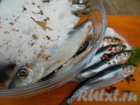Добавьте к салаке смесь специй, соли и сахара, перемешайте. Накройте емкость с рыбой небольшой тарелкой. Дайте рыбе постоять при комнатной температуре 5 часов, затем уберите в холодильник на ночь.
