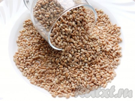 Пшеницу промыть, залить тремя стаканами кипятка и отварить до готовности в течение 35-40 минут. Откинуть на сито и остудить.
