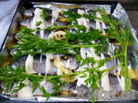 На картошку выложите карасей и колечки лимона, в которых мариновалась рыба (для аромата), веточки петрушки, сверху можно немного полить сметаной.
