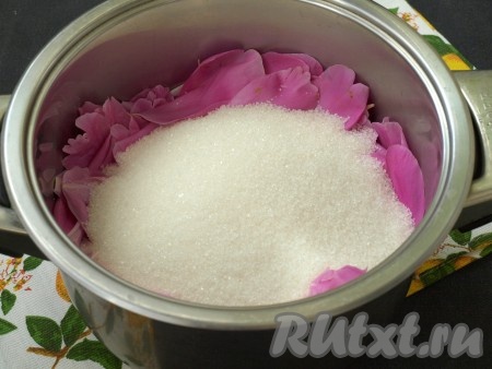 С цветков оборвать лепестки и сложить в подходящую кастрюлю, добавить сахар.
