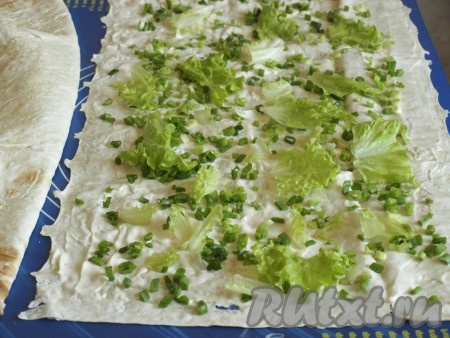 Расстелить на столе один лист лаваша, смазать его мягким плавленным сыром, посыпать луком, выложить листья салата.
