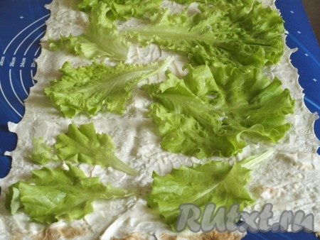На столе разложить лист лаваша и смазать плавленным сыром. Салатные листья промыть и обсушить, разложить сверху.
