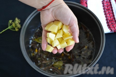 Очистить и кубиками нарезать картофель. Затем выложить картошку в чашу мультиварки, закрыть крышку и продолжить варить до готовности (на это понадобится еще 10-15 минут).
