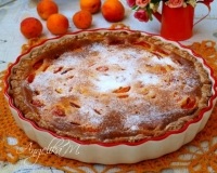 Пирог из творожного теста с абрикосами