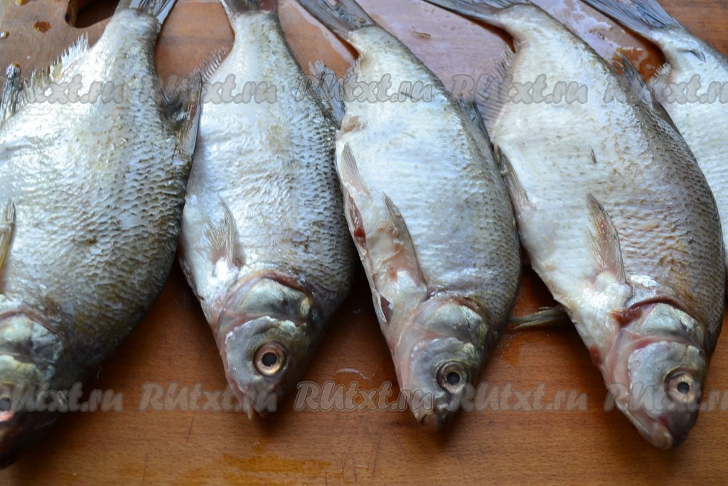 Рецепты приготовления сушеной рыбы: сушка леща и воблы