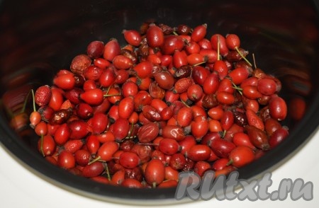 Включаем мультиварку, высыпаем ягоды шиповника в чашу мультиварки, крышку мультиварки закрываем. За раз можно высушить до 0,5 килограмма ягод. Больше класть в чашу мультиварки не стоит, иначе ягоды не будут равномерно просушены. В процессе сушки периодически перемешивать шиповник (раза 3-4). После прогрева ягод на 40 градусах, увеличиваем температуру приготовления до 80 градусов и сушим еще 8 часов, тоже периодически помешивая. По окончании сушки в мультиварке достать шиповник и выложить на поднос, застеленный бумажными полотенцами. Дать постоять 7 дней в проветриваемом месте (возможно, понадобится чуть больше времени, так как собираемый в лесу шиповник у кого-то будет более сухим, у кого-то - более влажным), чтобы ушла вся лишняя влага. По окончании времени переложить ягоды на хранение.
