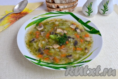 Очень вкусный и полезный суп с брокколи и шампиньонами разлить по тарелкам и подать к столу в горячем виде.