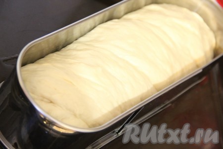 Готовое тесто выложить на стол, припыленный мукой, и хорошо обмять. Форму для выпечки смазать растительным маслом. Сформировать хлеб любой формы. Оставить хлеб в форме на 1 час в тепле. Форму прикрыть полотенцем. 